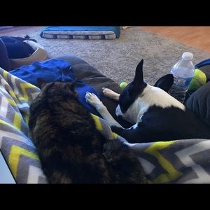 Meet your Posher, Kristen